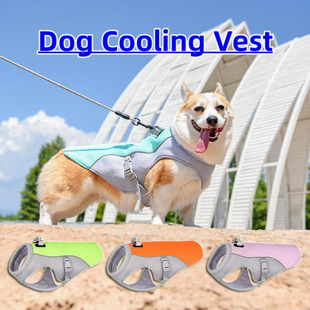 Summer Pet Dog Cooling Vest Heat Resistant Cool for Dogs