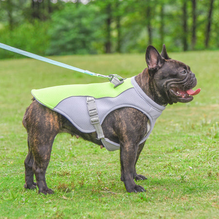 Summer Pet Dog Cooling Vest Heat Resistant Cool for Dogs